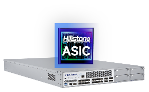 Hillstone ASIC